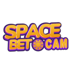 solve a sudoku puzzle
